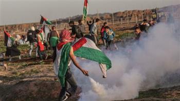   رامي عاشور: مصر والأردن وحدا موقفهما السياسي برفض تصفية القضية الفلسطينية
