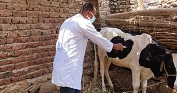   "بيطري بني سويف": تحصين أكثر من 122 ألف رأس ماشية ضد الأمراض الوبائية