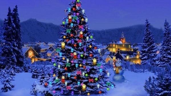 زينة عيد الميلاد تبدأ من 5  جنيهات حتى 2000 جنيه.. تعرف على اسعار شجرة الكريسماس 
