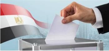   سفير مصر بالكونغو: التصويت في الانتخابات الرئاسية لم يشهد أي معوقات