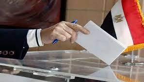   سفير مصر ببوركينا فاسو: التصويت في انتخابات الرئاسة سار بدون عوائق فنية