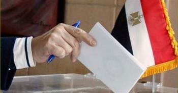 انتهاء التصويت في الانتخابات الرئاسية للمصريين بالخارج