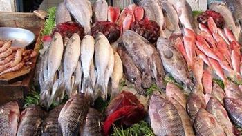   تعرف على أسعار السمك اليوم في المحلات والأسواق