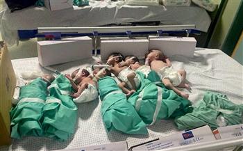   "شينخوا": مستشفى العاصمة الإدارية "خلية نحل" تعمل لعلاج أطفال غزة المبتسرين