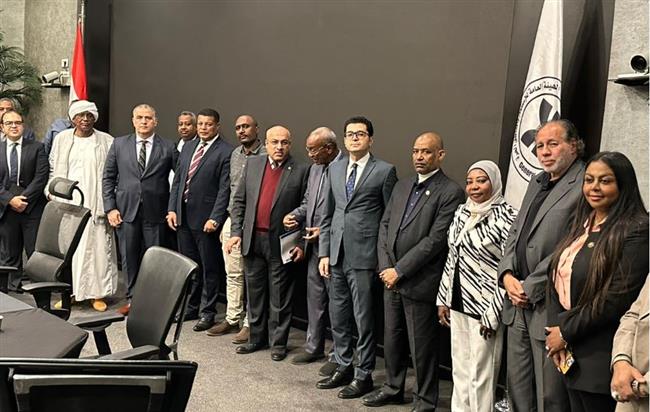 عضو إفريقية النواب: القيادة السياسية لديها إصرار بوضع "بوابة الجنوب" على خريطة الاستثمار العالمية 