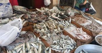 تعرف على أسعار الأسماك في السوق اليوم
