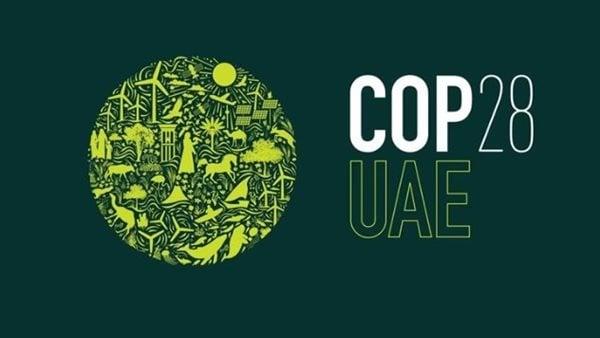 مؤتمر المناخ COP 28.. "التضامن" تشارك بمؤتمر الأطراف الـ28 لاتفاقية الأمم المتحدة