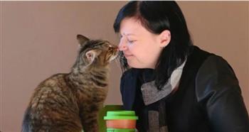 دراسة تكشف العلاقة بين امتلاك القطط وخطر الإصابة بالفصام