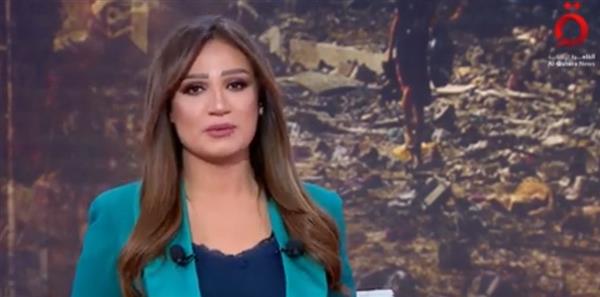 ضياء رشوان: مصر تعمل على الوصول لوقف فوري لإطلاق النار في غزة