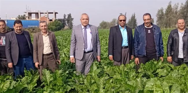 زراعة الغربية تكثف جهودها لمتابعة موسم الزراعات الشتوية