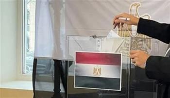 متخصص في شؤون الانتخابات: لأول مرة تيسير عملية التصويت لذوي الهمم