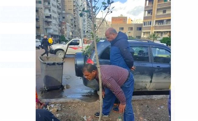 محافظ الإسكندرية: زراعة ٦٦٠ شجرة بالثغر ضمن "100مليون شجرة"