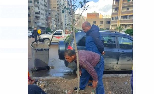 محافظ الإسكندرية: زراعة ٦٦٠ شجرة بالثغر ضمن "100مليون شجرة"