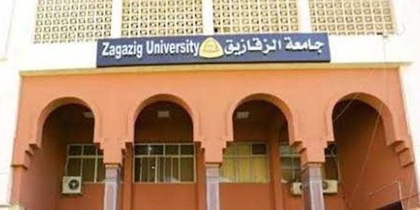جامعة الزقازيق تشارك بوفد طلابي في رحلة «إعرف بلدك» إلي مدينتى الأقصر وأسوان