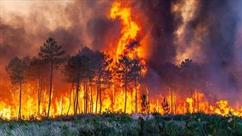   الاتحاد الأوروبي ينشر أكثر من 250 مستجيبًا للطوارئ في تشيلي بسبب حرائق الغابات