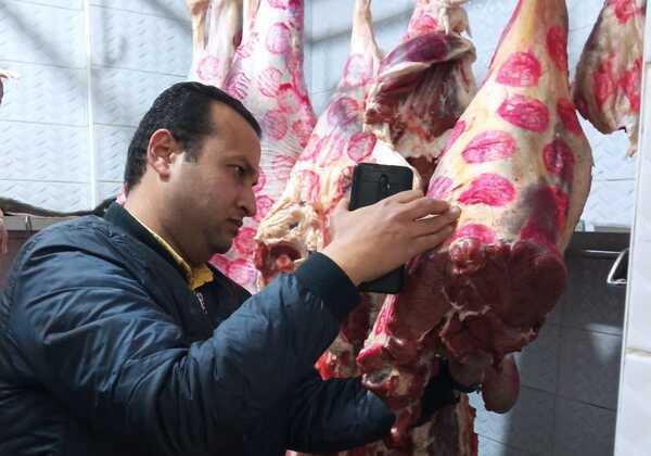 ضبط 12 جزار  بدمنهور قاموا بالذبح خارج المجازر الحكوميةوبيع لحوم غير صالحه للإستهلاك الآدمى