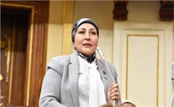 المشروعات الصغيرة بالنواب لإكسترا نيوز: نعمل على تفعيل وحدات الطعام المتنقلة