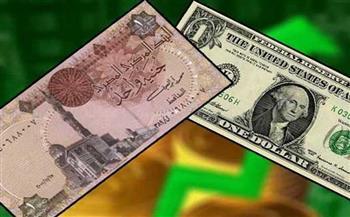 هدوء أسعار صرف الدولار مقابل الجنيه المصري في بداية التعاملات اليوم