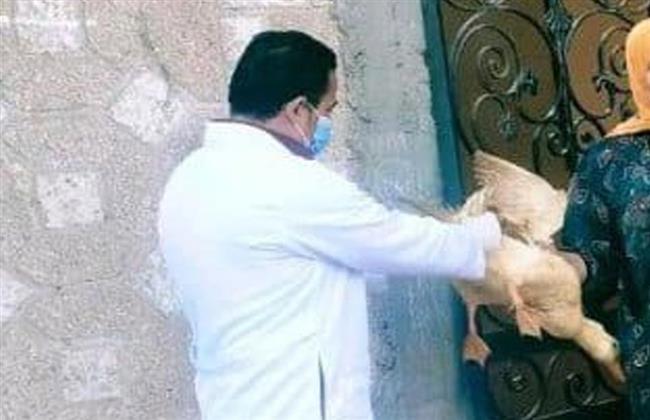 تحصين 104 آلاف طائر ضد مرض إنفلونزا الطيور بالشرقية
