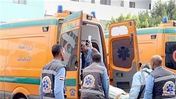 بالأسماء أصابة طفل و4 أشقاء بحادث أنقلاب تروسيكل بكوبرى بنى مر فى أسيوط 