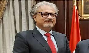   سفير صربيا بالقاهرة يؤكد متانة العلاقات بين البلدين منذ تأسيسها