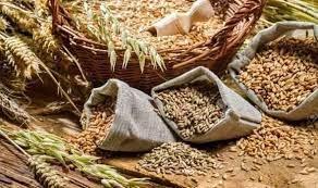 واردات مصر من القمح تسجل 545 مليون دولار فى نوفمبر الماضى