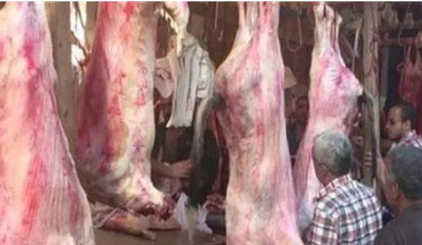 ضبط أحد الأشخاص بدمياط لإدعائه بيع اللحوم للمواطنين بالتقسيط