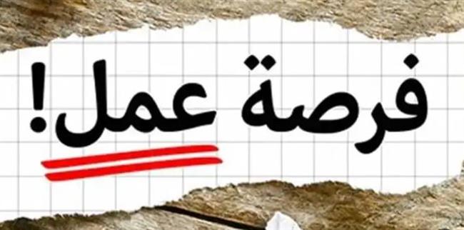 "القوى العاملة" تعلن توفير 3863 فرصة عمل في 14محافظة