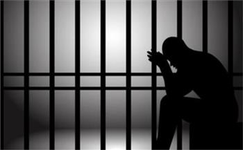   السجن المشدد 6 سنوات لمتهم في تجارة المخدرات بكفر الشيخ