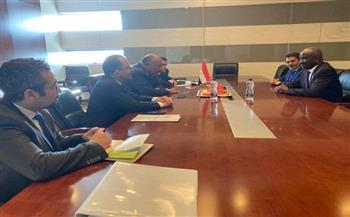   وزير الخارجية يؤكد عمق العلاقات بين مصر وموريتانيا