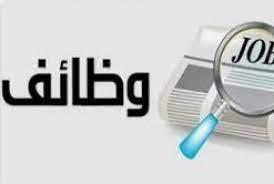 التقديم مستمر.. وظائف للخريجين من دفعات «2019 حتى 2022» في هذه التخصصات.. التفاصيل