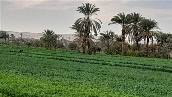 لا تنخدعوا في ارتفاع درجات الحرارة.. «الأرصاد» تحذر من طقس الأسبوع