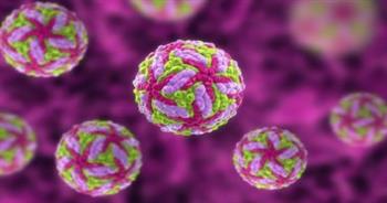   الصحة تكشف: "فيروس ماربورج" لا يوجد له لقاح مضاد وأصدرنا الدليل الإرشادي