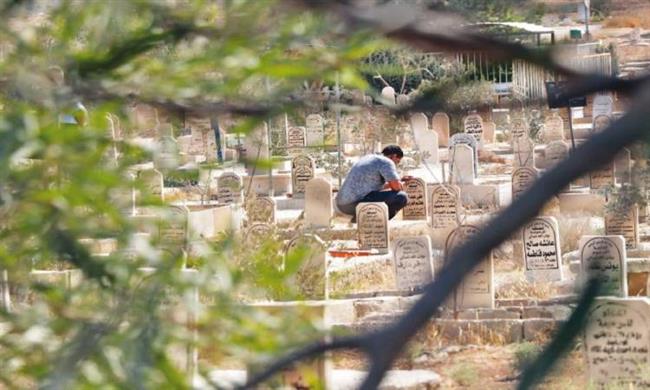 الإفتاء: أحاديث النبي أكدت أن الميت يشعر بمن يزوره ويرد عليه السلام