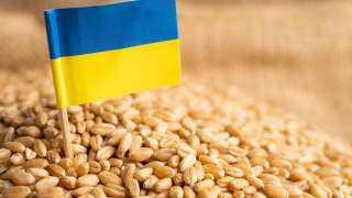   أوكرانيا ترسل 25 ألف طن من القمح إلى كينيا