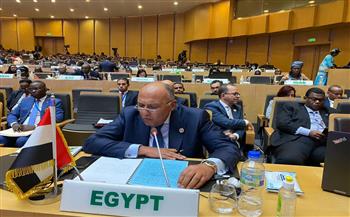   وزير الخارجية يلقي كلمة مصر حول إصلاح مجلس الأمن