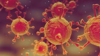   فيروس ماربورج .. مالوش تطعيم و 8 أعراض للإصابة وانتقال العدوى