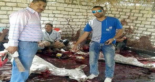مدير المجازر بالشرقية يكشف حقيقة العثور على حمير مذبوحة