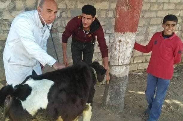 جامعة الزقازيق توجه قافلة بيطرية لقرية عزبة العباسة مركز أبوحماد بمحافظة الشرقية