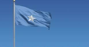   الصومال ونيجيريا يبحثان سبل تعزيز العلاقات الثنائية وجهود مكافحة الإرهاب