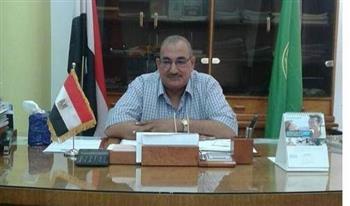 " الغرفة التجارية": ثبات في أسعار الخضراوات والفاكهة بالإسماعيلية 
