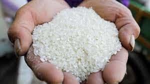   رئيس شعبة الأرز: لدينا فائض من الأرز وسيتم ضخ كميات كبيرة بعد تحرير سعره