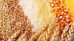   "اتحاد الصناعات": زيادة عدد المطاحن في البورصة السلعية ساهم في ضبط أسعار القمح والدقيق