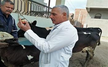 جامعة الزقازيق توجه قافلة بيطرية لقرية كفر العلماء مركز فاقوس بمحافظة الشرقية