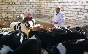 جامعة الزقازيق توجه قافلة بيطرية لقرية كفر العلماء بمركز فاقوس