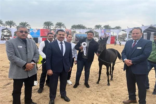 إنطلاق فعاليات المهرجان الدولي السادس عشر للخيول العربية الأصيلة بكوم حمادة