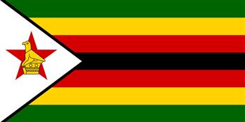   حكومة زيمبابوي تعقد الحوار الثاني مع الشركاء لتسوية متأخرات الديون