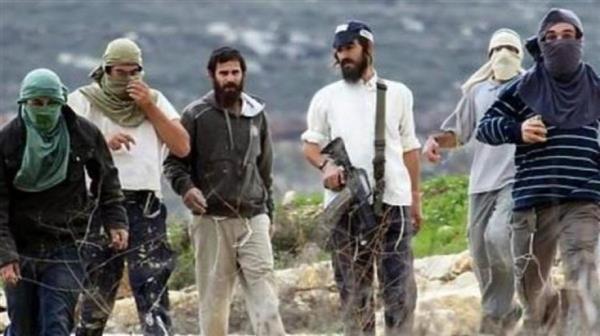 فلسطين: مستوطنون يقتحمون خربة الحفيرة جنوب جنين