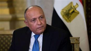 شكرى يتلقى اتصالاً هاتفياً من نظيره البريطاني