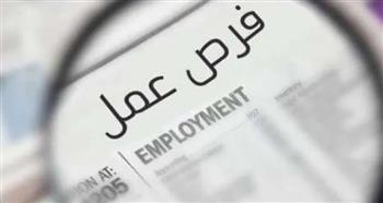 راتب يبدأ من 3500.. فرص عمل فى محافظة الجيزة 